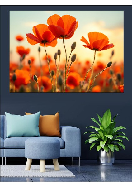 Turuncu Gelincik Çiçekleri Dekoratif Tablo