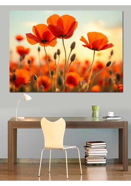 Turuncu Gelincik Çiçekleri Dekoratif Tablo modelleri