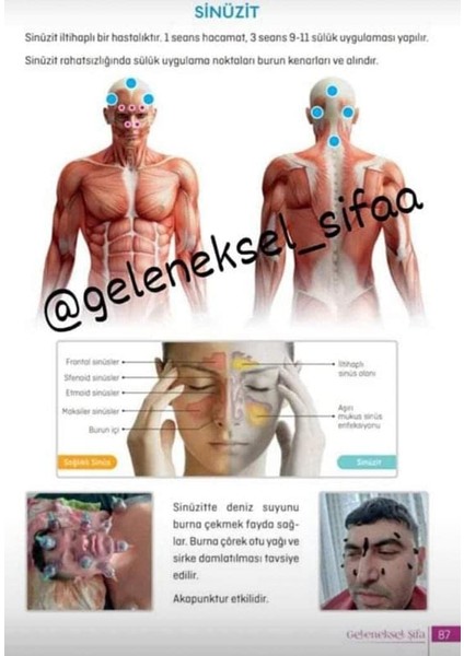 Geleneksel Şifa Kitabı fiyatları