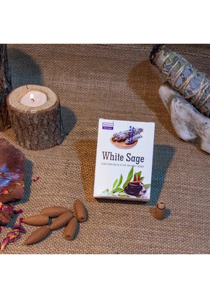 White Sage Kokulu Geri Akış Cones Tütsü