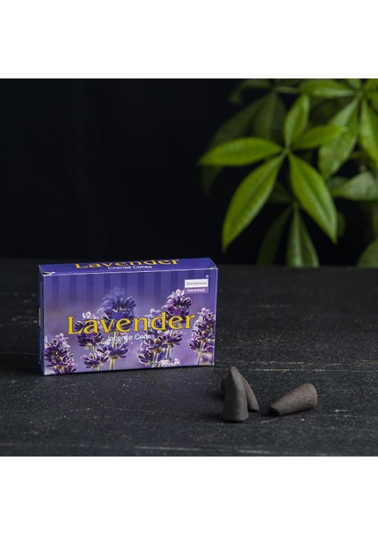 Lavender Kokulu Konik Tütsü