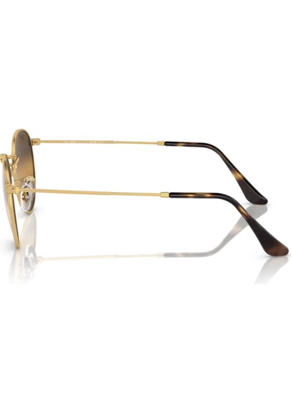 3447 001/G5 53-21-145 Erkek Güneş Gözlüğü fiyatları