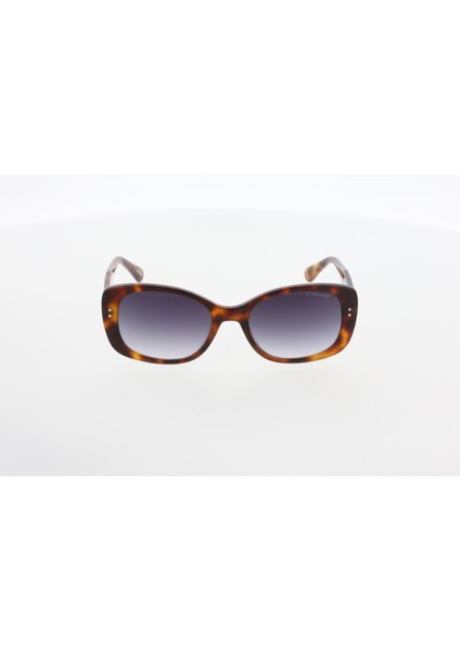 3593 C02 53/20/142 Kadın Güneş Gözlüğü fiyatları