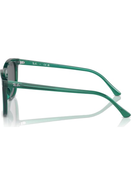 2210 6615B1 53-21-145 Kadın Güneş Gözlüğü fiyatları