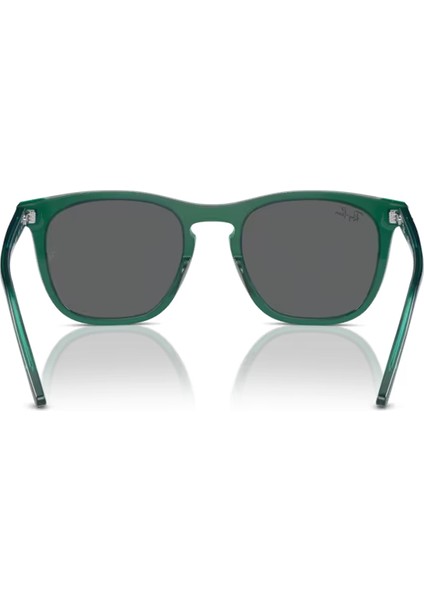 2210 6615B1 53-21-145 Kadın Güneş Gözlüğü modelleri