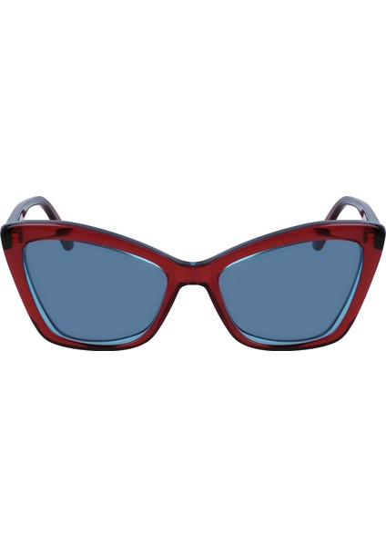 KL6105S 604 54/17/140 Kadın Güneş Gözlüğü fırsatları