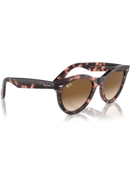 2241 133451 51-21-150 Kadın Güneş Gözlüğü fırsatları