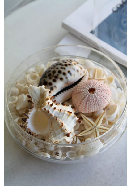 Mare Abajur