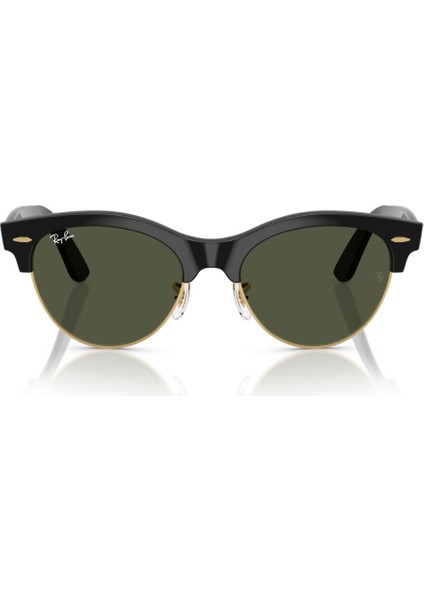 2341 901/31 51-19 Unisex Güneş Gözlüğü modelleri