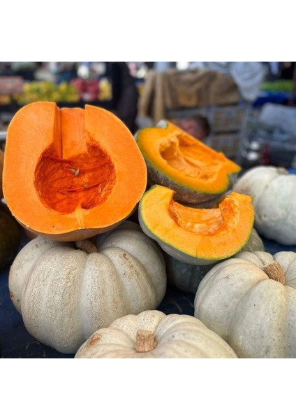 Ata Tohum Geleneksel Arıcan Tatlılık Reçellik Balkabağı Tohumu (10 Tohum)