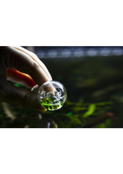 Aquapro Co2 Indicator Checker-Spherical fiyatları