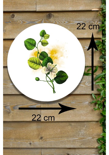 Çiçek Bitki Doğa Tablo Seti 3'lü Dekoratif Süs Oturma Odası Yatak Odası Salon Ofis Dekoru fiyatları
