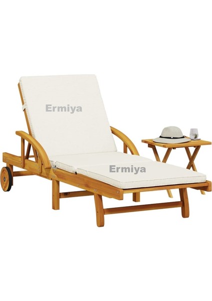 2 Adet Kilimanjaro Dağı Şezlong Minderi Sıvı Geçirmez Fermuarlı 180*55*5 cm