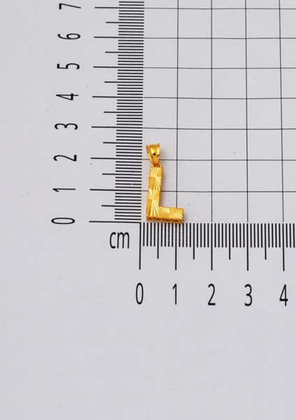 22 Ayar 3 Boyutlu L Harf Altın Kolye fırsatları