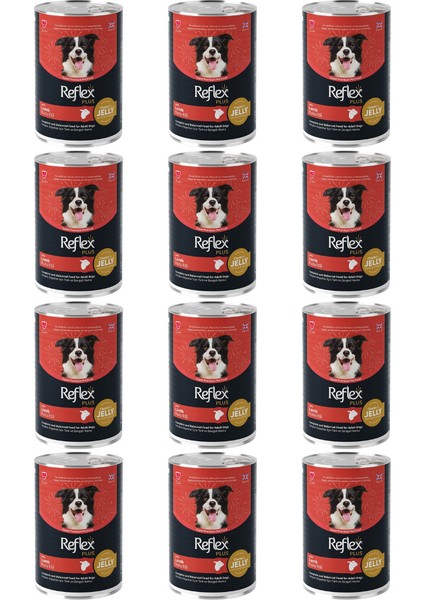 Plus Jöle Içinde Kuzu Etli Yetişkin Konserve Köpek Maması 400GR - 12 Adet