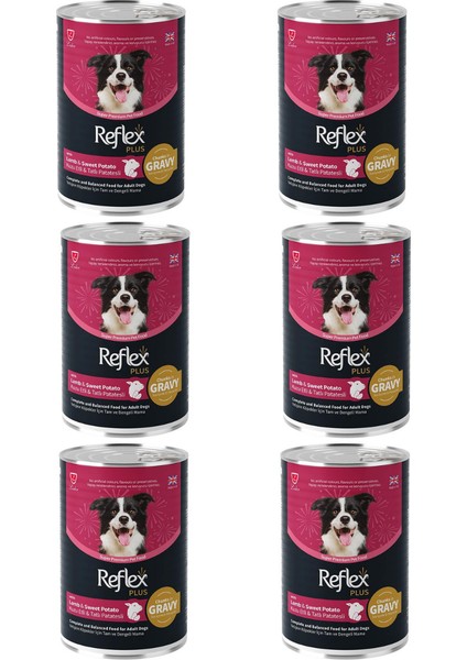 Plus Sos Içinde Parça Kuzu Etli ve Tatlı Patatesli Yetişkin Köpek Konservesi 400GR - 6 Adet
