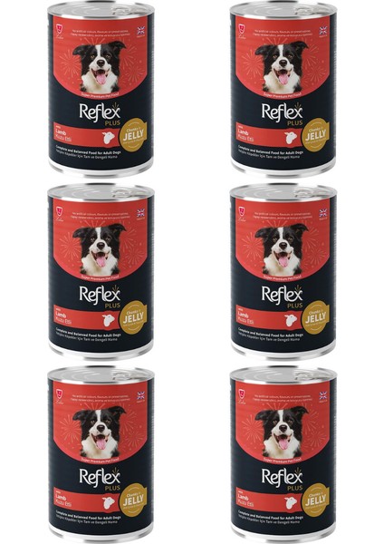 Plus Jöle Içinde Kuzu Etli Yetişkin Konserve Köpek Maması 400GR - 6 Adet