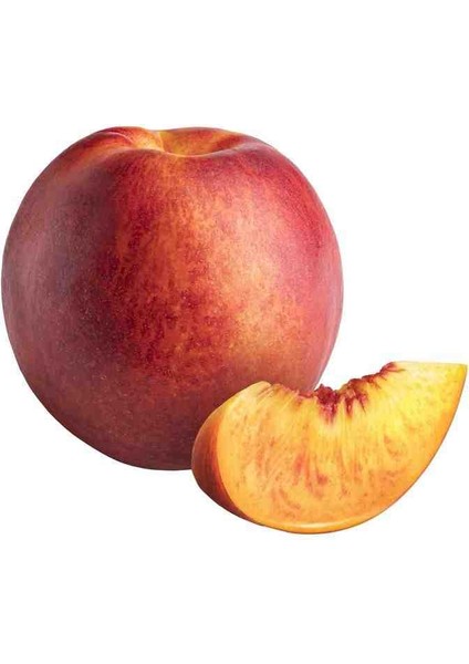 Nektari Fidanı -80 cm Üzeri Boylarında 2 Yaş Saksılı Doğaşık