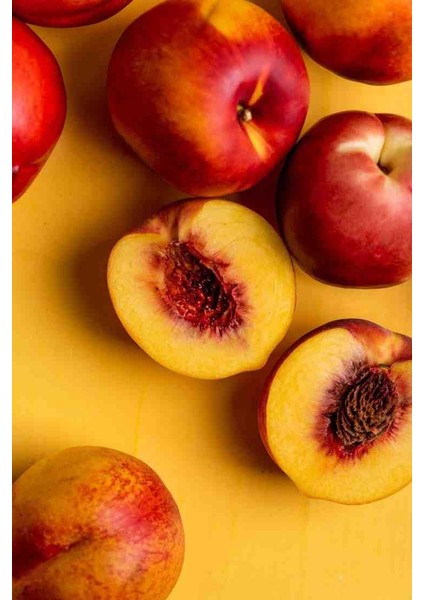 Nektari Fidanı -80 cm Üzeri Boylarında 2 Yaş Saksılı Doğaşık fiyatları