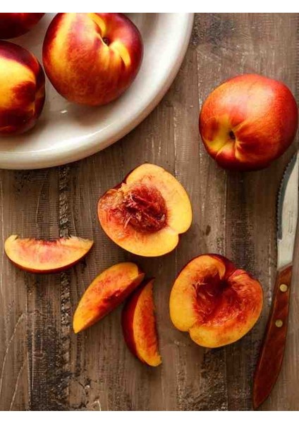 Nektari Fidanı -80 cm Üzeri Boylarında 2 Yaş Saksılı Doğaşık indirimleri