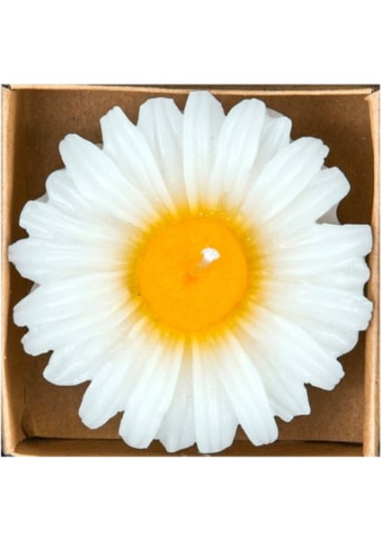 Kişiselleştirilebilir Papatya El Yapımı Seramik Kupa Sonsuzluk Gül Epoksi Anahtarlık Mum Seti fırsatları