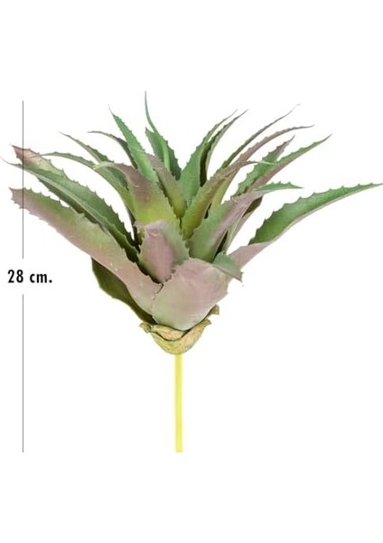 Yapay Kaktüs Sukulent Yeşil 28 cm