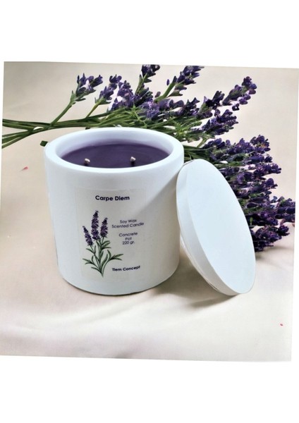 Dekoratif Lavanta Kokulu Beyaz Renkli Beton Saksılı ve Kapaklı Soya Mum indirimleri