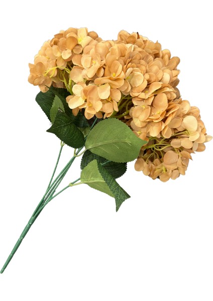 Hardal 5'li Ortanca Demeti