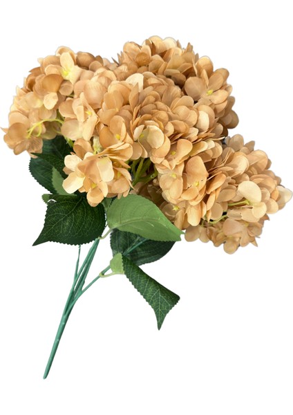 Hardal 5'li Ortanca Demeti fiyatları