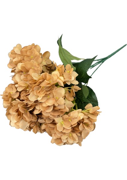 Hardal 5'li Ortanca Demeti fırsatları