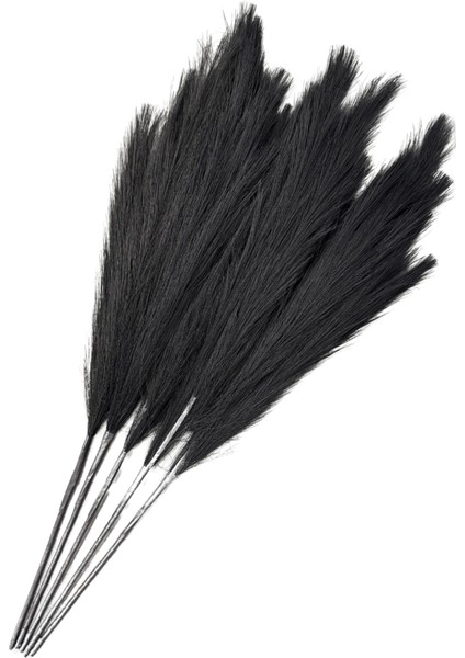 Siyah Pampas Tüy Demeti 5'li