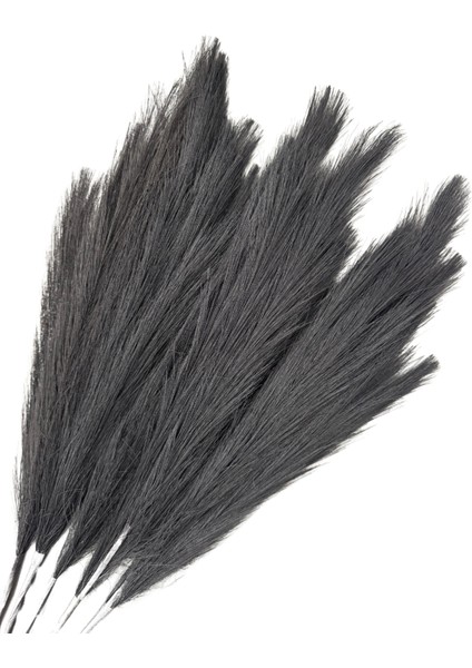 Siyah Pampas Tüy Demeti 5'li fiyatları