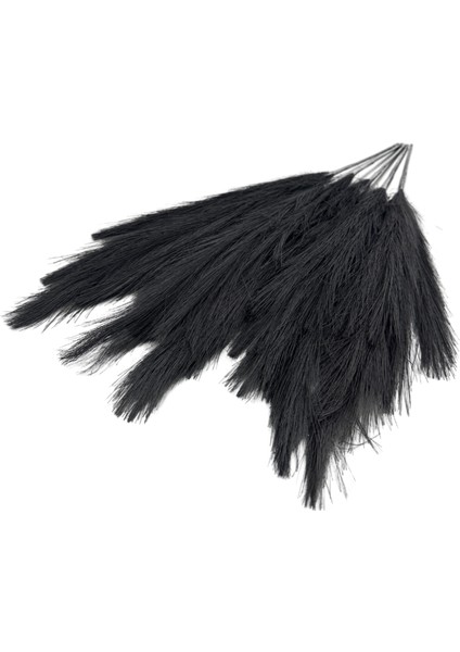 Siyah Pampas Tüy Demeti 5'li modelleri