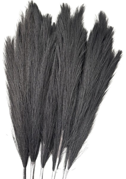 Siyah Pampas Tüy Demeti 5'li fırsatları