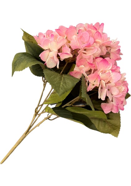 Pembe 5'li Ortanca Demeti