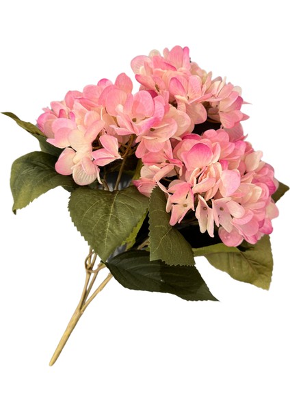 Pembe 5'li Ortanca Demeti fiyatları