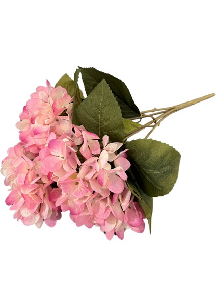 Pembe 5'li Ortanca Demeti fırsatları