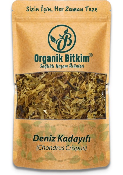 Deniz Kadayıfı 500 gr