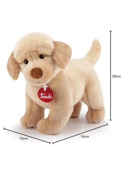 Peluş Labrador Liam