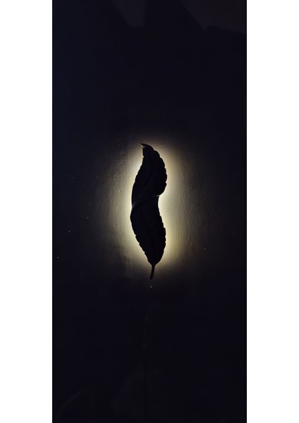 Tüy Aplik Ledli Pilli Dekoratif Duvar Aydınlatma - Şık ve Modern Tasarım - (60*16 cm )