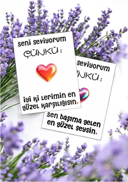 12 Adet "seni Seviyorum Çünkü" Özlenen Sevgiliye Özel Söz Kartları Sevgiliye Hediye Kartı SSÇ01P modelleri