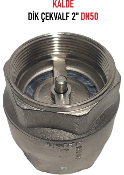 2" DN50 Sarı/krom Dik Çekvalf - Vertical Check Valve