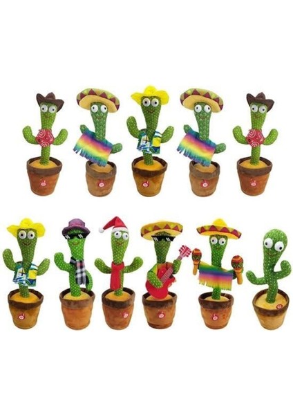 Konuşan Kaktüs fiyatları