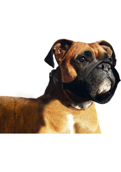 Karlıe Köpek Ağızlığı Özel 11