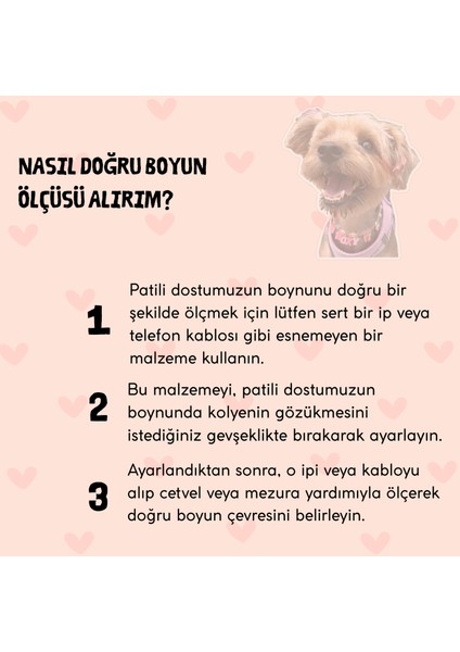 Kedi Köpek Tasma Kolye Örgü