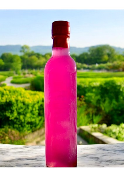 Doğal Ev Yapımı Ejder Meyvesi Sirkesi 500 ml fiyatları