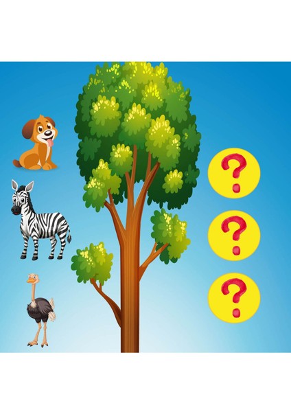 Math Forest Matematik Ormanı Oyunu modelleri