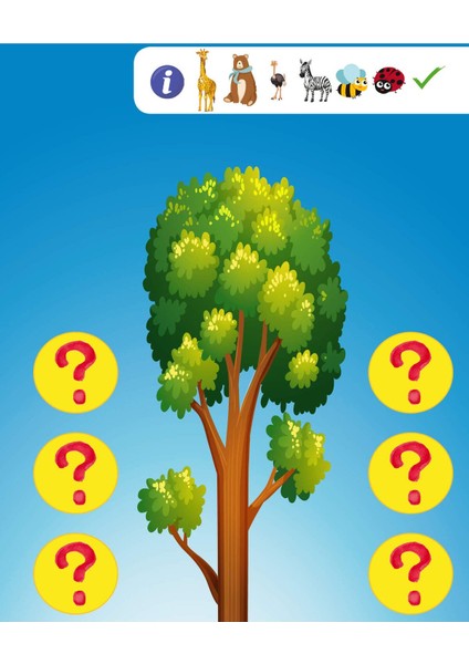 Math Forest Matematik Ormanı Oyunu fırsatları