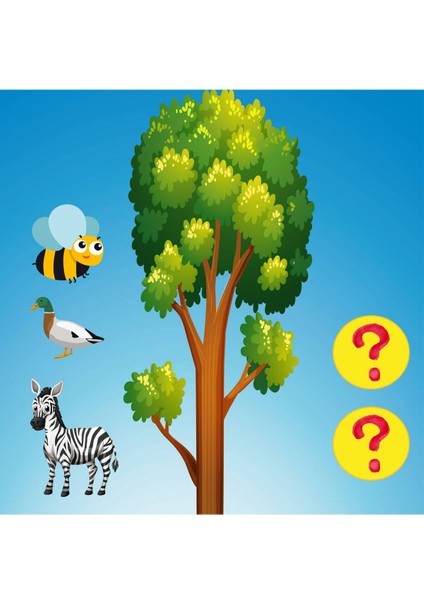 Math Forest Matematik Ormanı Oyunu indirimleri