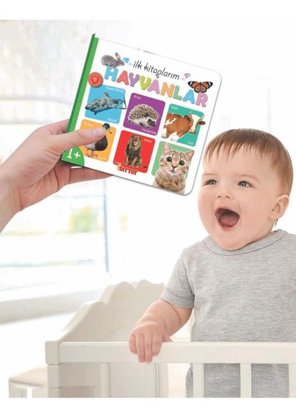 Eğitici İlk Kitaplarım Serisi 6'lı Set